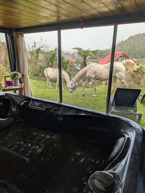 Een kamer met een groot raam met uitzicht op een grasrijk gebied met paarden, een houten plafond en een badkuip vol met bubbels.
