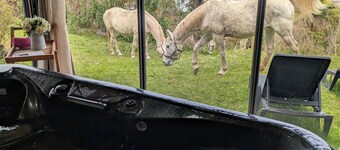 Le Chalet du Badamier Blanc avec Jaccuzzi