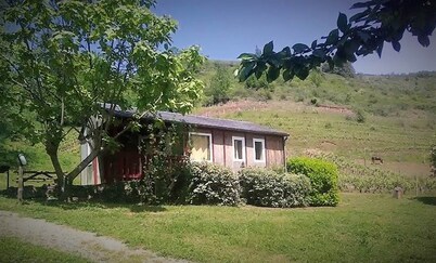 Chalet de la Frégière Vigne