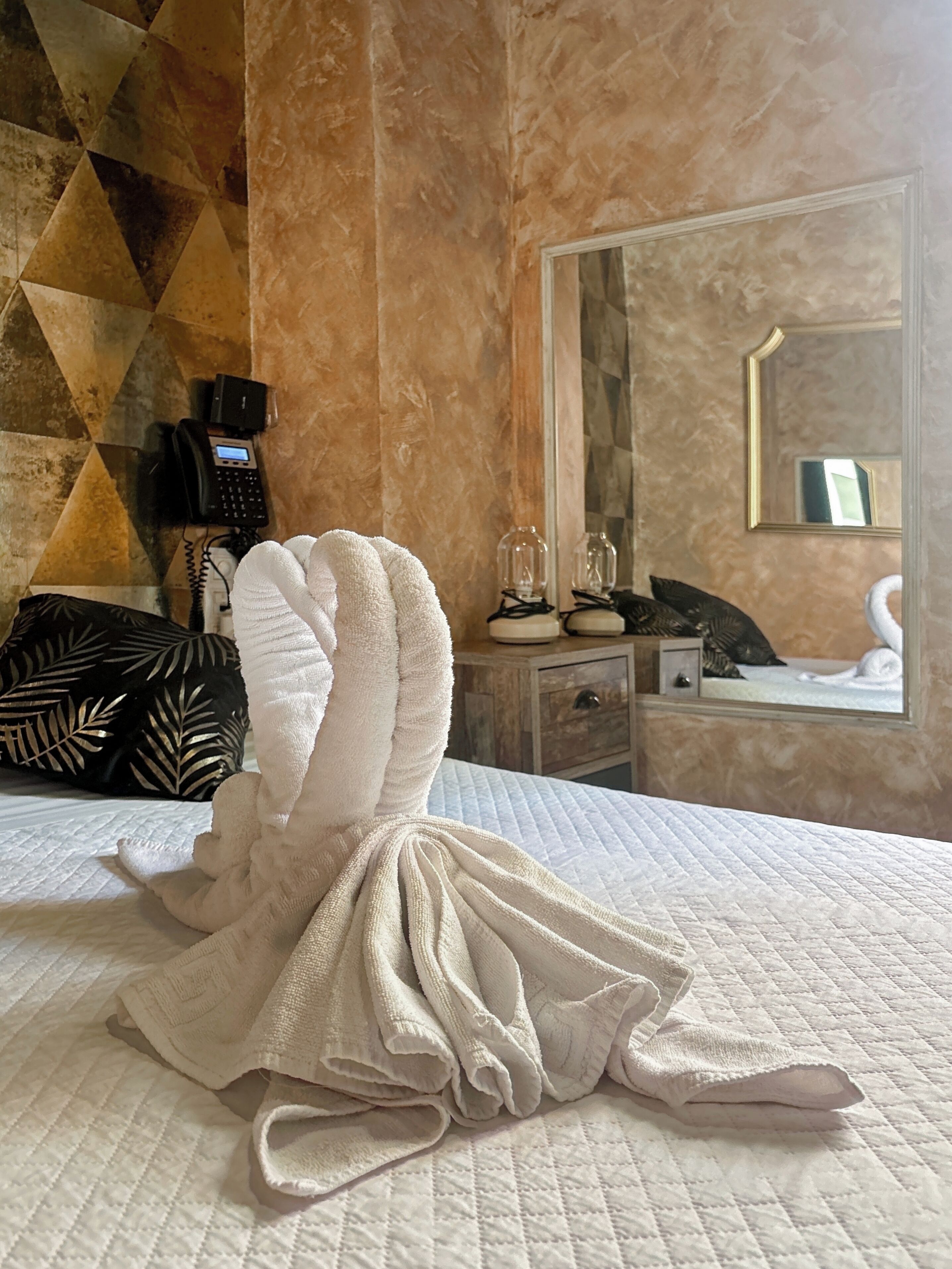 Photo - Hostel Alicante