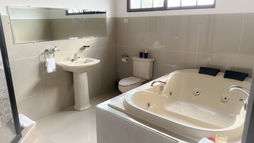 Ducha, cabezal de ducha tipo lluvia, secador de pelo, toallas