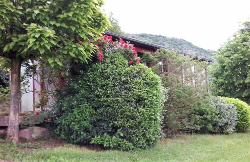 Chalet Palace Piscine