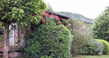 Chalet Palace Piscine