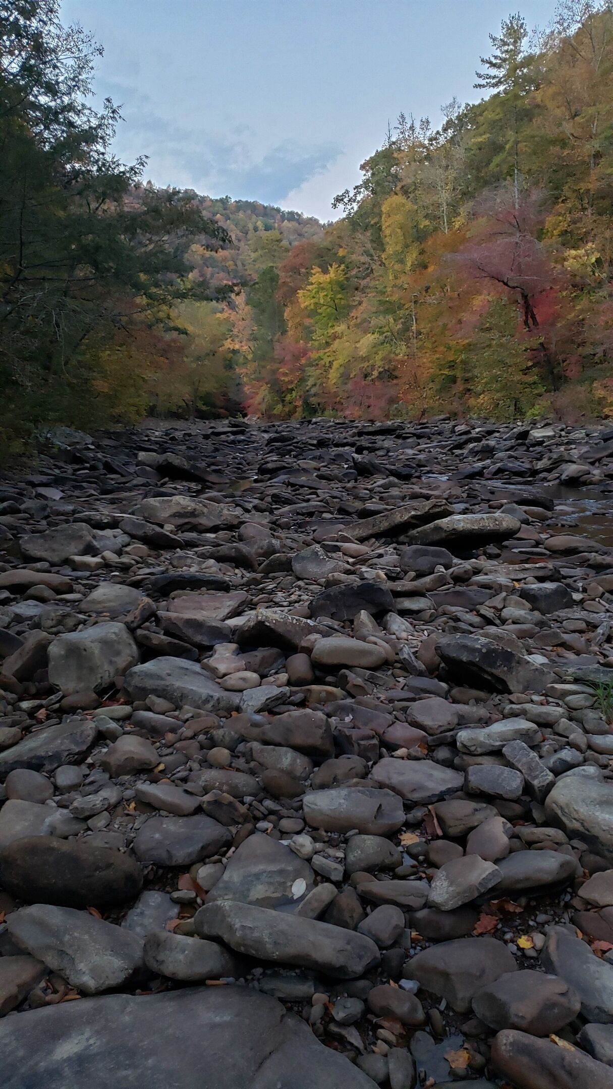 Un lit de rivière rocheux, avec des arbres aux couleurs automnales en arrière-plan.