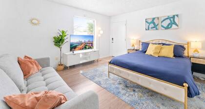 Central Hyde Park studio close to UT, Moody Center