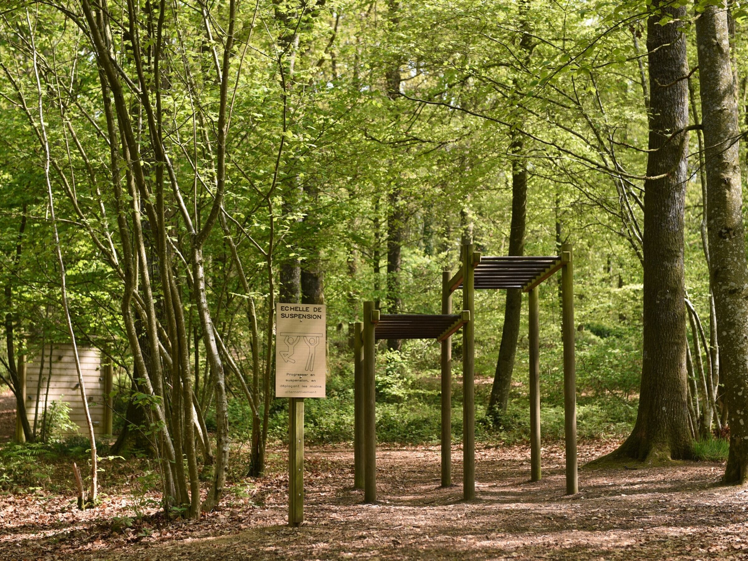 A forested area with a sign indicating a suspension area.