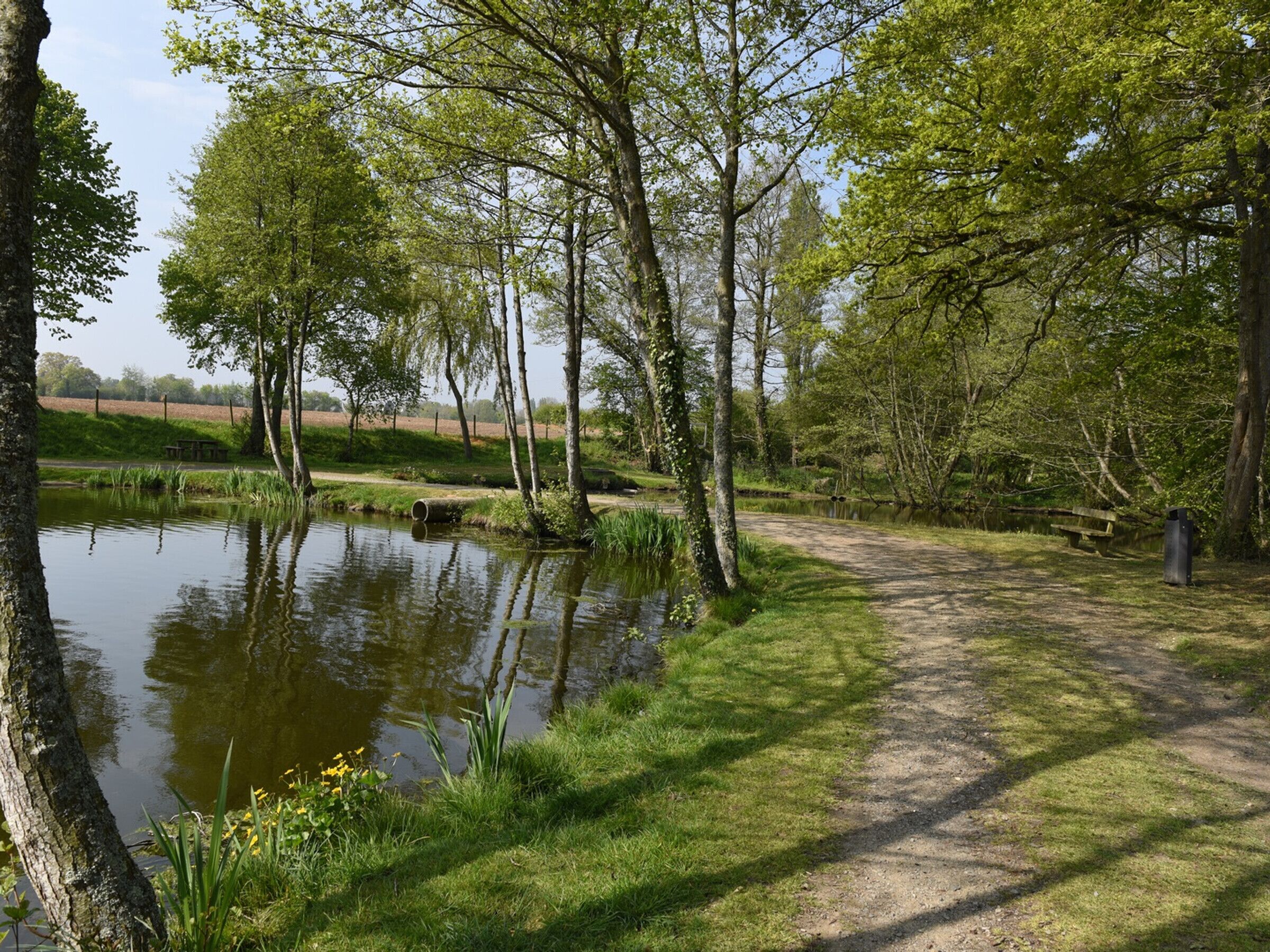 A tranquil park with a pond, a dirt path, and a picnic table.
