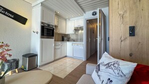 Un espace de vie compact comprenant un coin cuisine, un canapé agrémenté d’un coussin sur le thème du ski et une petite table avec une plante.
