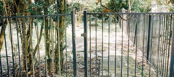 Tulane Street Cottage