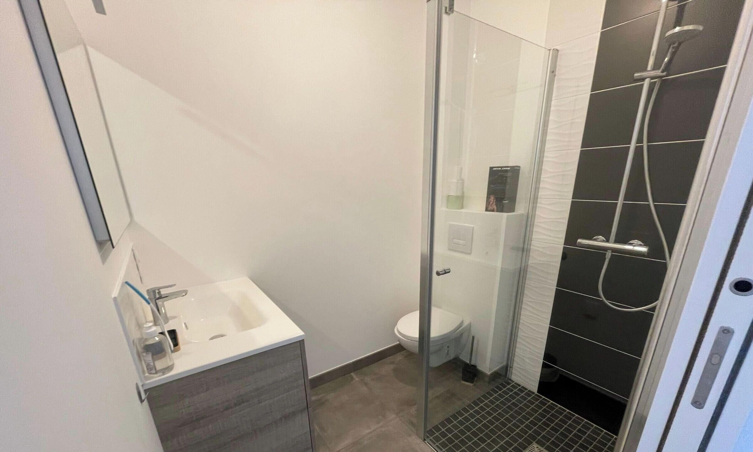 A modern bathroom with a glass shower enclosure, a white sink, and a toilet.