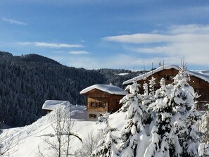Exterior - Comfortable chalet with sauna, WiFi, and private parking (Les Gets)