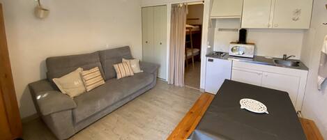 A compact living space with a grey sofa, a small kitchen area, and a dining table.