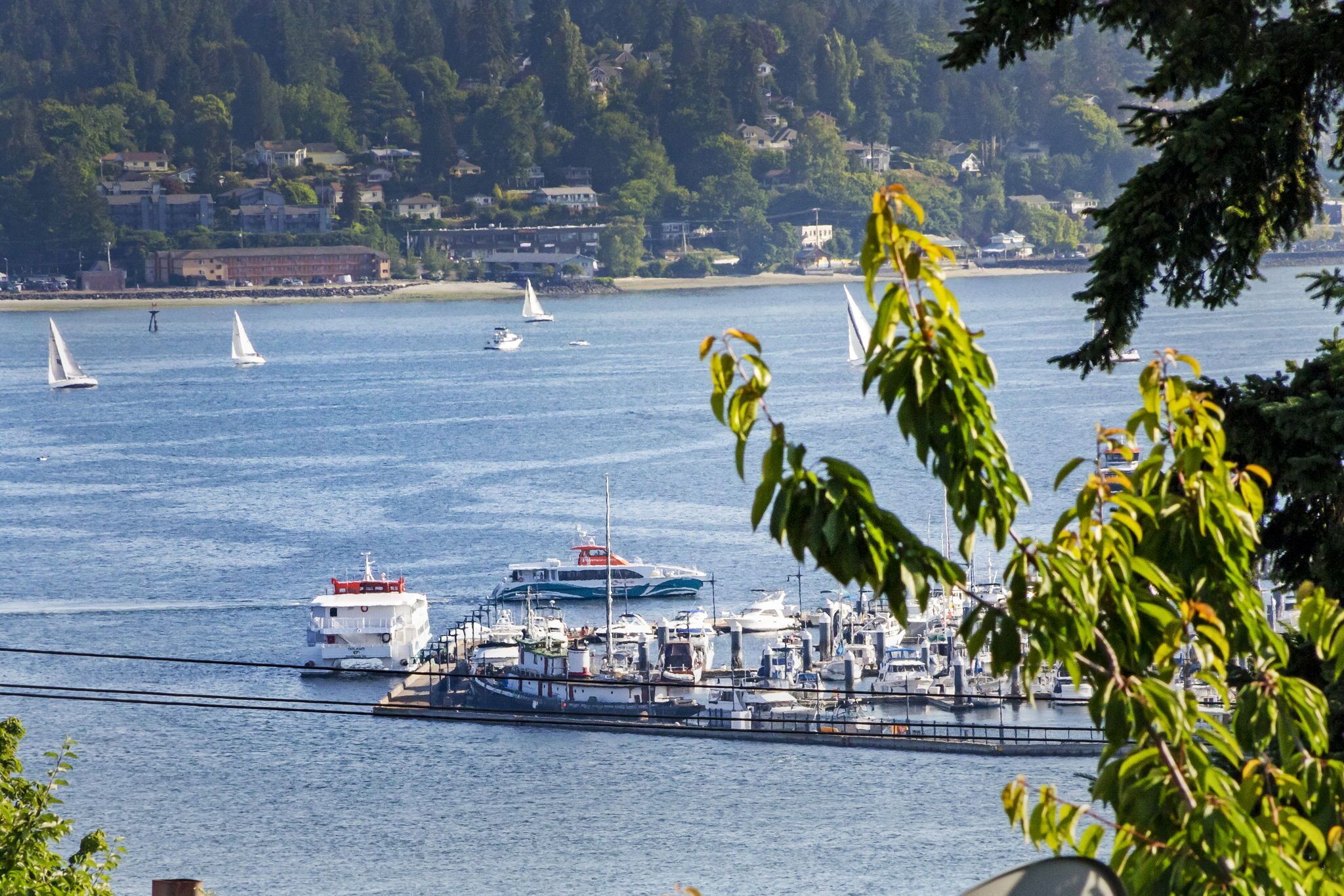 CASA ZEN - DT MANETTE - WATER VIEWS - CLOSE TO FERRY & NAVAL BASE