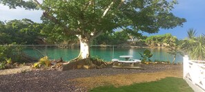 A serene outdoor area with a large tree, a picnic table, and a view of a calm body of water.