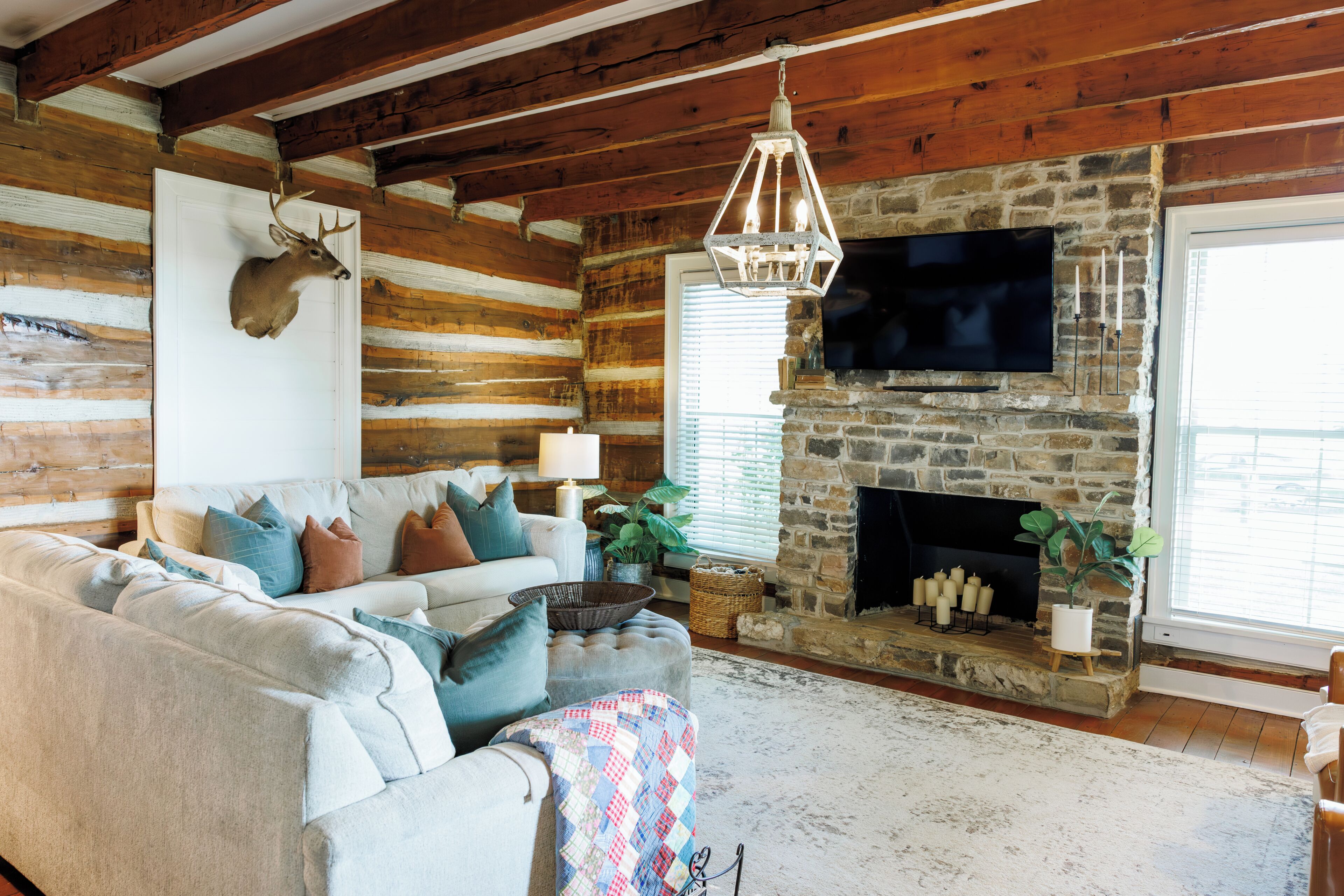 Smart TV, fireplace, books