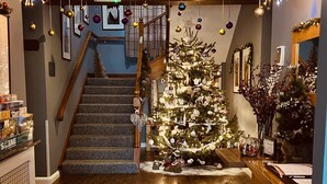 Ein gut beleuchteter Innenraum mit Treppe, einem geschmückten Weihnachtsbaum und verschiedenen hängenden Dekorationen.