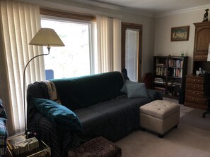 TV connectée, cheminée, lecteur de DVD, livres