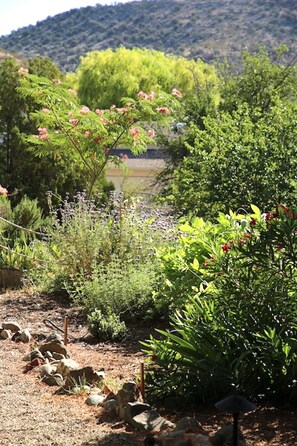A garden with various plants and a small pond. - Professionally designed, centrally located to wineries and red rocks, premium bedding for a positive reset. Dogs Welcome. (Cornville)