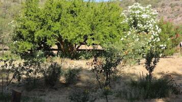 A garden with various shrubs and a tree with white flowers.