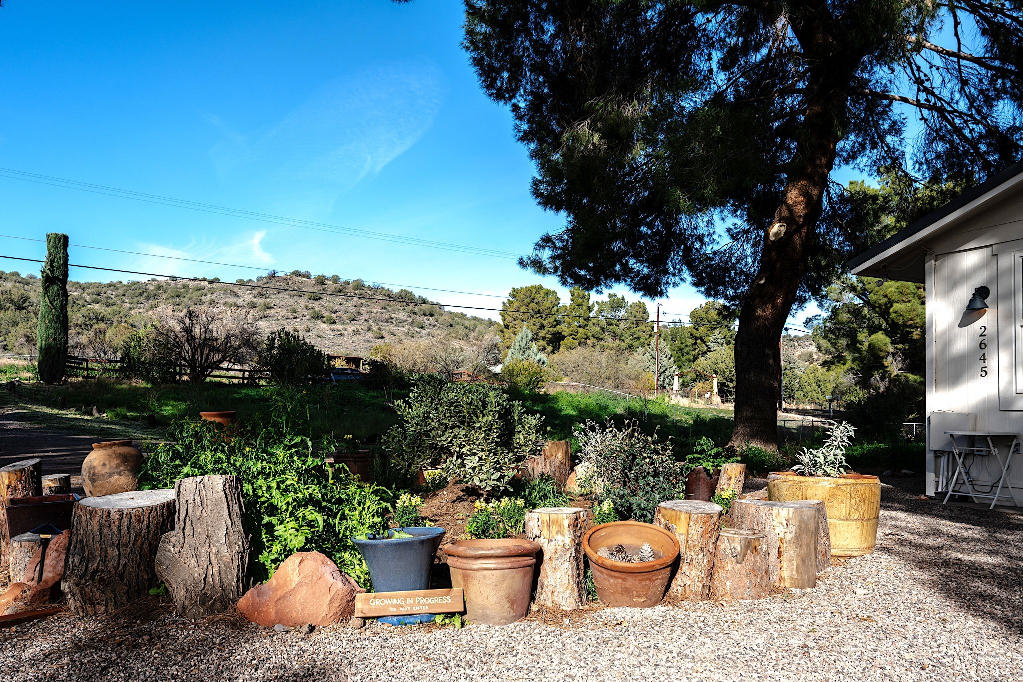 A garden with various potted plants and trees, a wooden fence, and a building with a visible address.