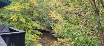 Eire Cottage, Private Waterfall views, Hot tub. On Bourbon trail.