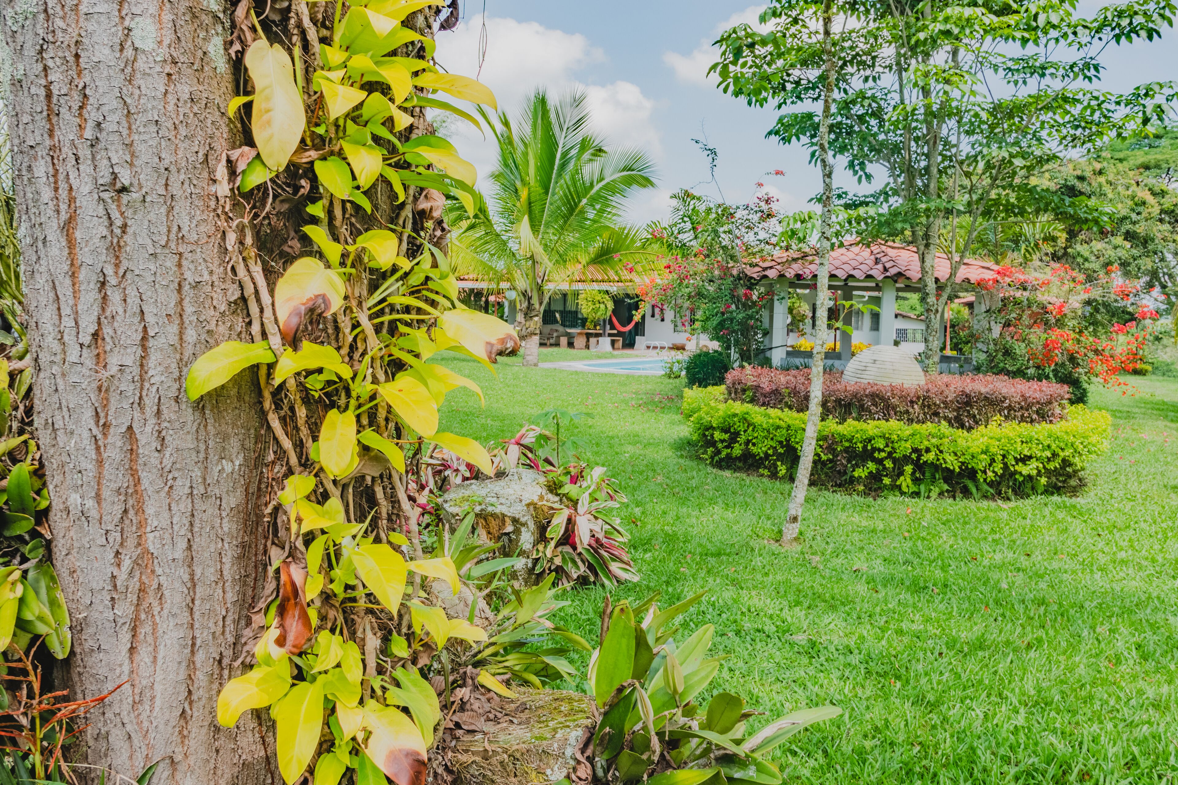 Áreas de la propiedad