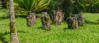 Casa Campestre Acogedora con Piscina y Vivero en el Eje Cafetero