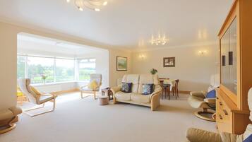 Televisión y chimenea