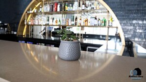 A bar area with a potted plant on the counter and shelves stocked with bottles in the background. - PORTO & ALMIRA BEACH (Sweimeh)