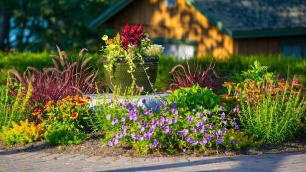 Un jardín con diversas plantas y flores, una estructura de madera al fondo y un camino pavimentado en primer plano.