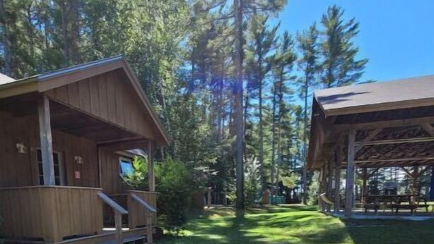 A wooden cabin with a porch and a covered picnic area in a forested setting. - Private Cabin with access to Rust Pond Ferris (Wolfeboro)