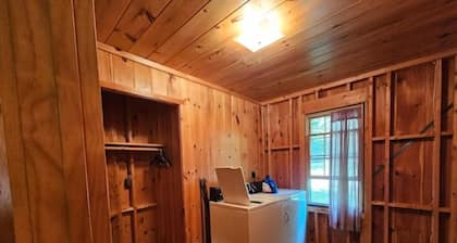 Rustic Cabin in the Woods YellowBirch 1