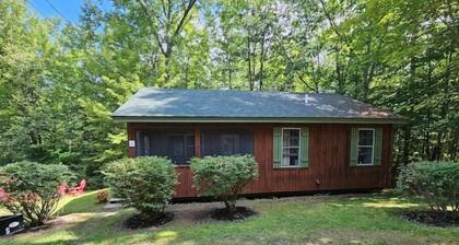 Rustic Cabin in the Woods YellowBirch 1