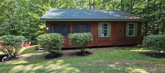 Rustic Cabin in the Woods YellowBirch 1