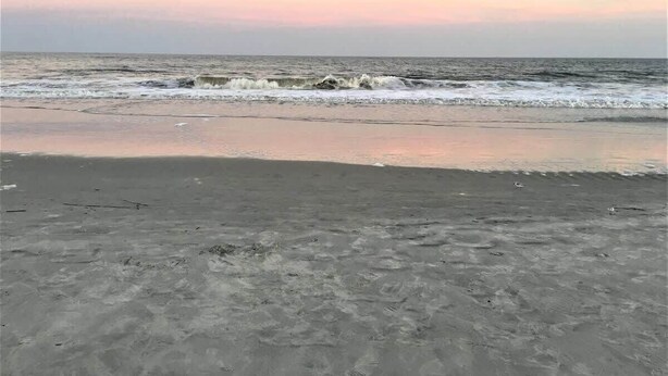 Una playa con olas en la orilla.