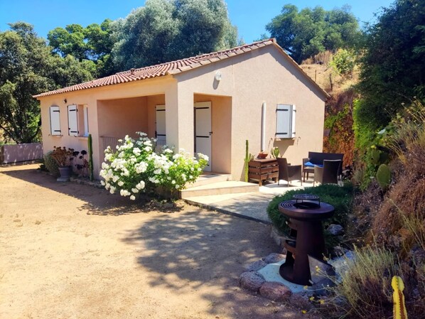 A single-story building with a tiled roof, a small porch, and a garden area with white flowers and a cactus.