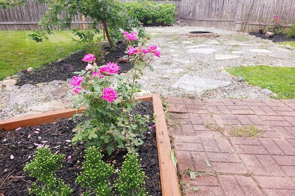 Àrea exterior de l'allotjament