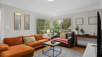 TV connectée, cheminée