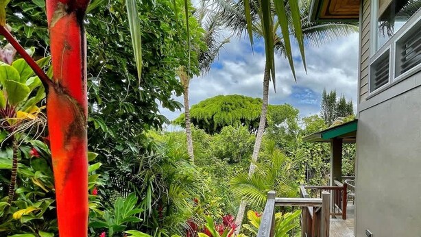 Una terraza de madera que lleva a un edificio rodeado de exuberante vegetación tropical.