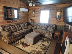 TV, DVD player, video library