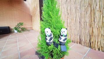 Terrein van de accommodatie