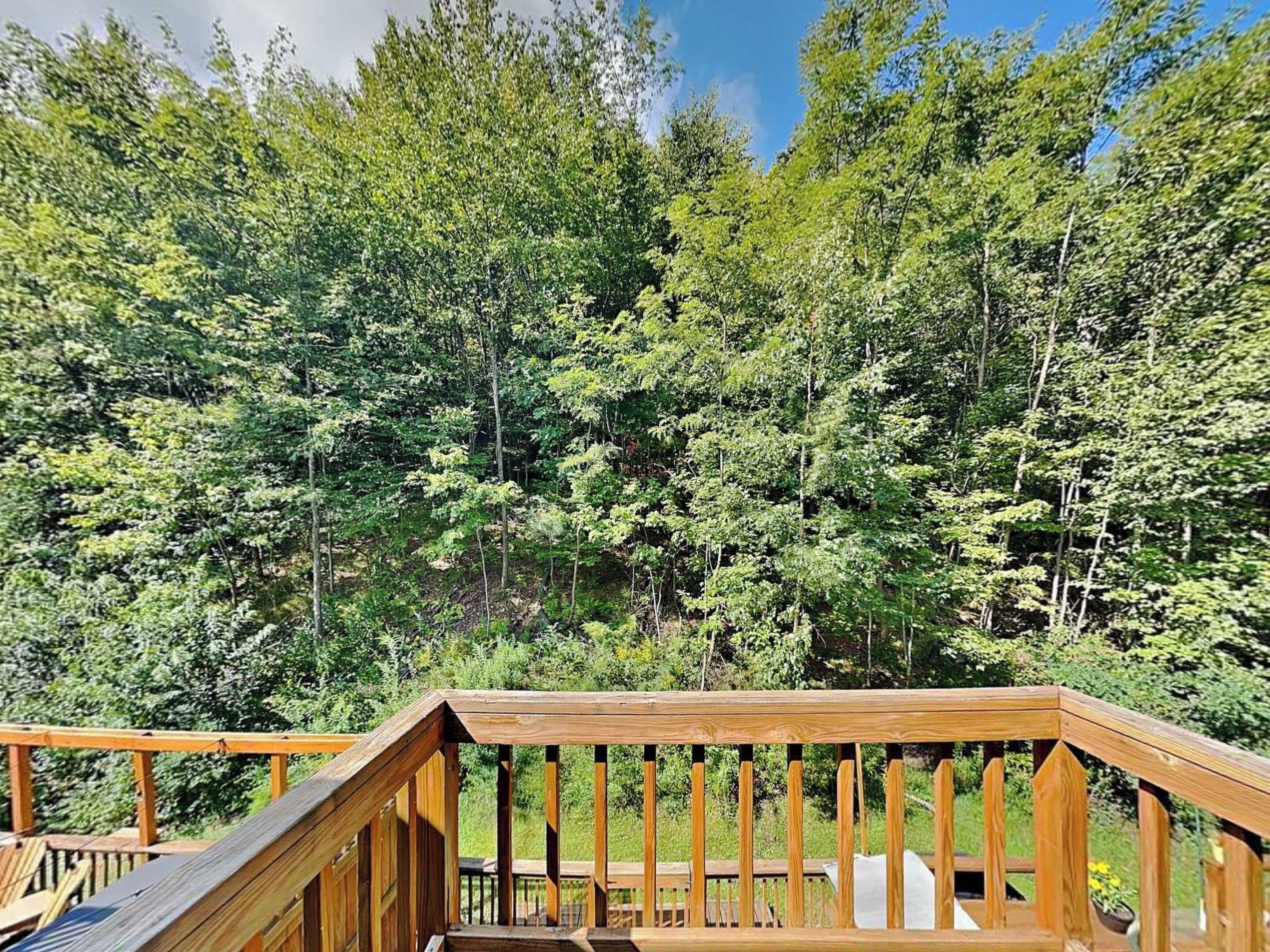 Studio (2 Bedrooms) | Accommodatievoorzieningen