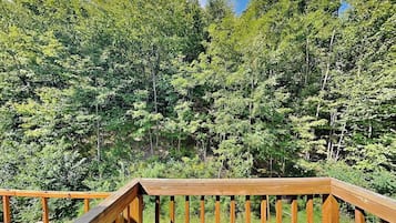 Studio (2 Bedrooms) | Accommodatievoorzieningen