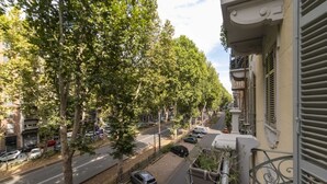 Una vista di strada con auto parcheggiate, alberi lungo la via e edifici con balconi.