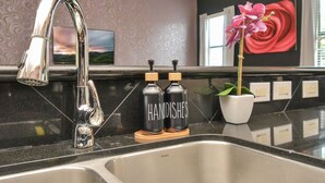 A modern kitchen with a stainless steel sink, two black bottles labeled "HANDDISHES," and a potted plant. - Love&Mystique Getaway in Galleria w/ Pool //Sleeps12! (Houston)