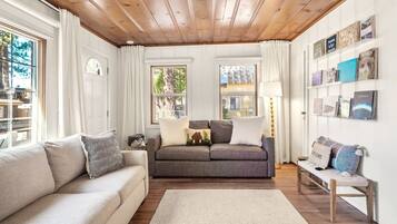 Smart TV, fireplace, books, computer monitors