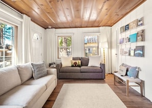 Smart TV, fireplace, books, computer monitors