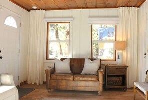 Smart TV, chimenea y libros 
