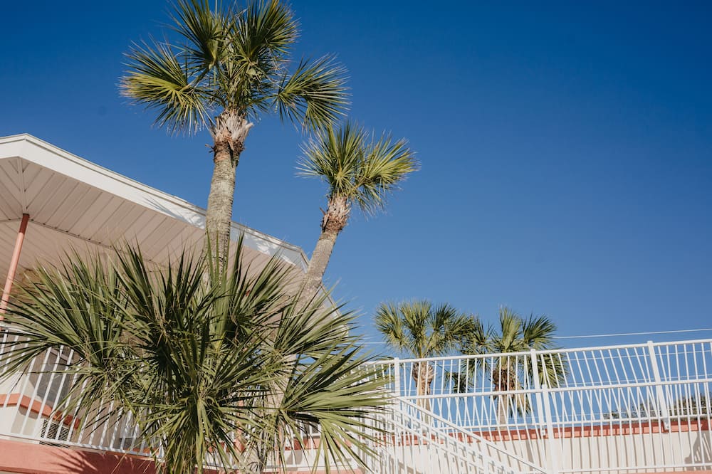 The Local - St. Augustine