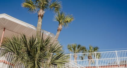 The Local - St. Augustine